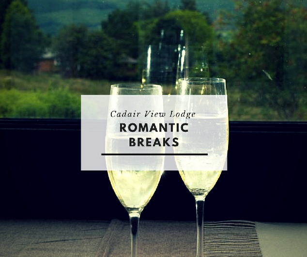 Glasses of sparking wine for romantic break at Cadair View Lodge