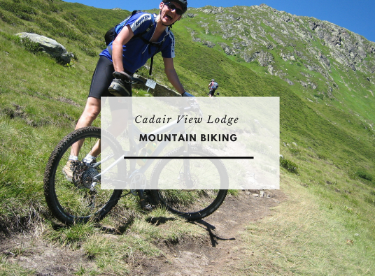 Click HERE to find more about mountain biking in Snowdonia - especially Coed y Brenin just 2 miles down the road