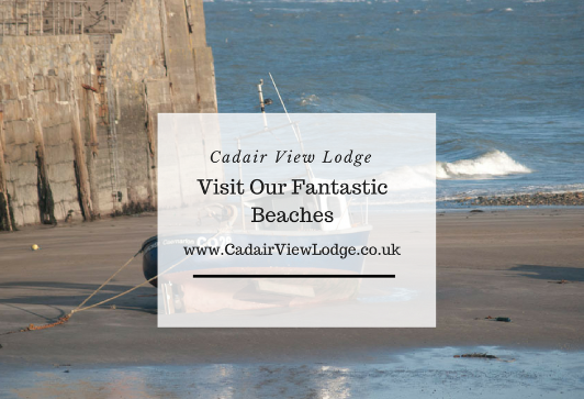 CLICK HERE to find out more about the beaches of Snowdonia especially those within 30 minutes drive of Cadair View Lodge