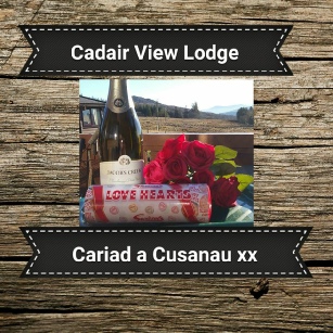 Sparkling wine for romantic break at Cadair View Lodge