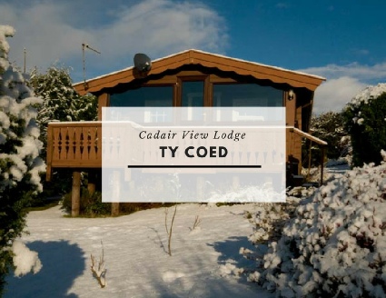 Ty Coed log cabin, from Cadair View Lodge. The perfect warm and cosy escape for a romantic couples' break in the Heart of Snowdonia.