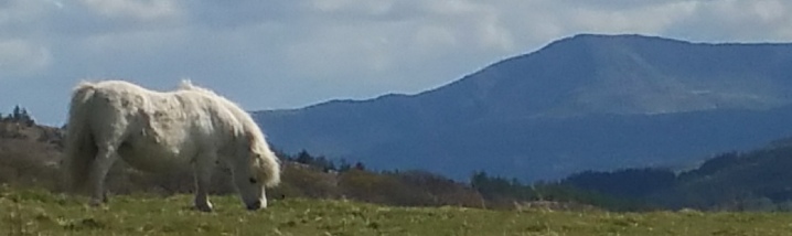 mountain views in all directions from our self catering log cabin accommodation in Snowdonia National Park